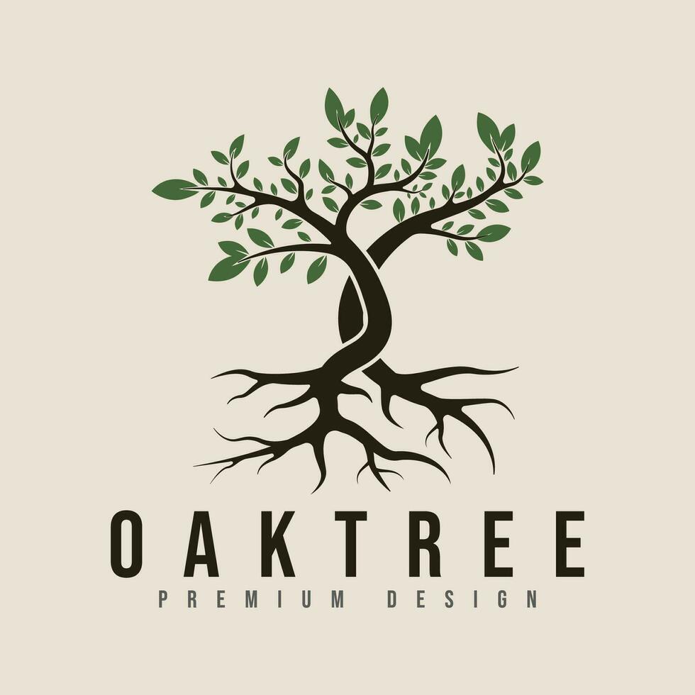 vintage oak tree logo vector minimalist illustration design.