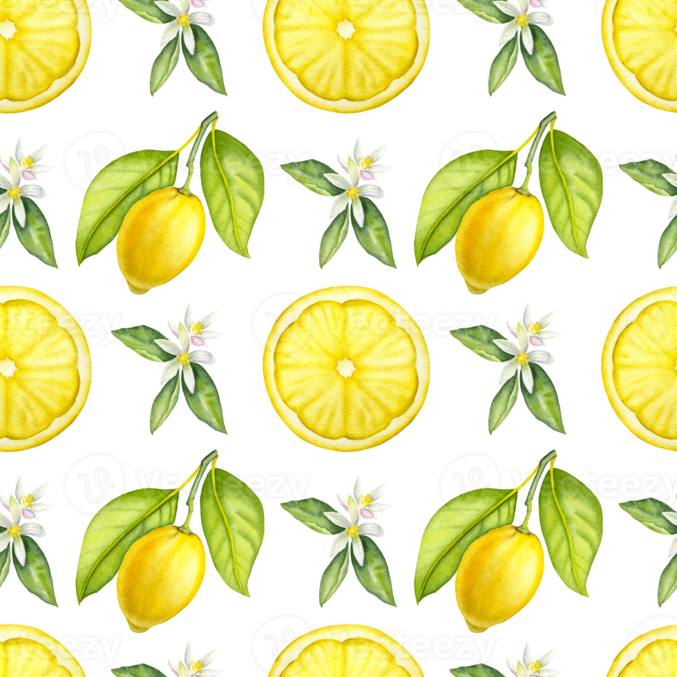 Seamless watercolor lemon pattern on the transparent background. Hand drawn watercolor pattern with lemons and lemon flowers. png