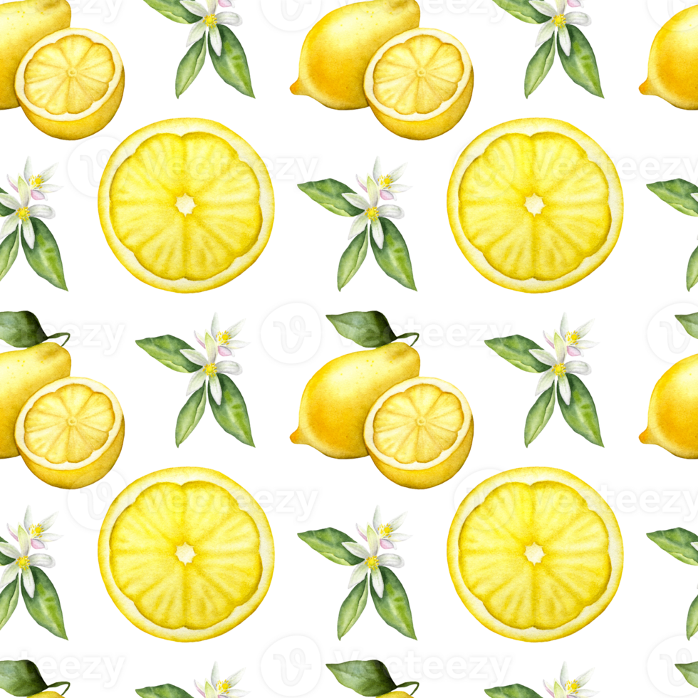 Seamless watercolor lemon pattern on the transparent background. Hand drawn watercolor pattern with lemons and lemon flowers. png