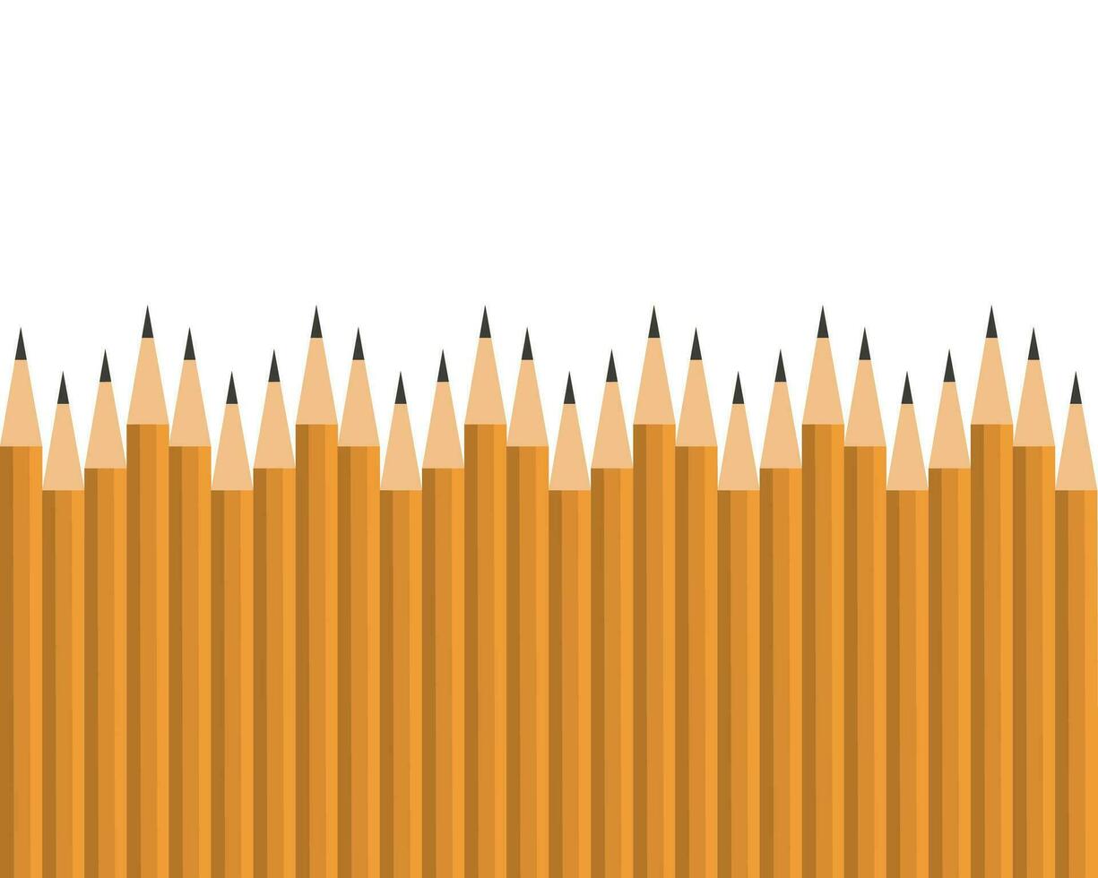 Lead pencils various length on white background. vector