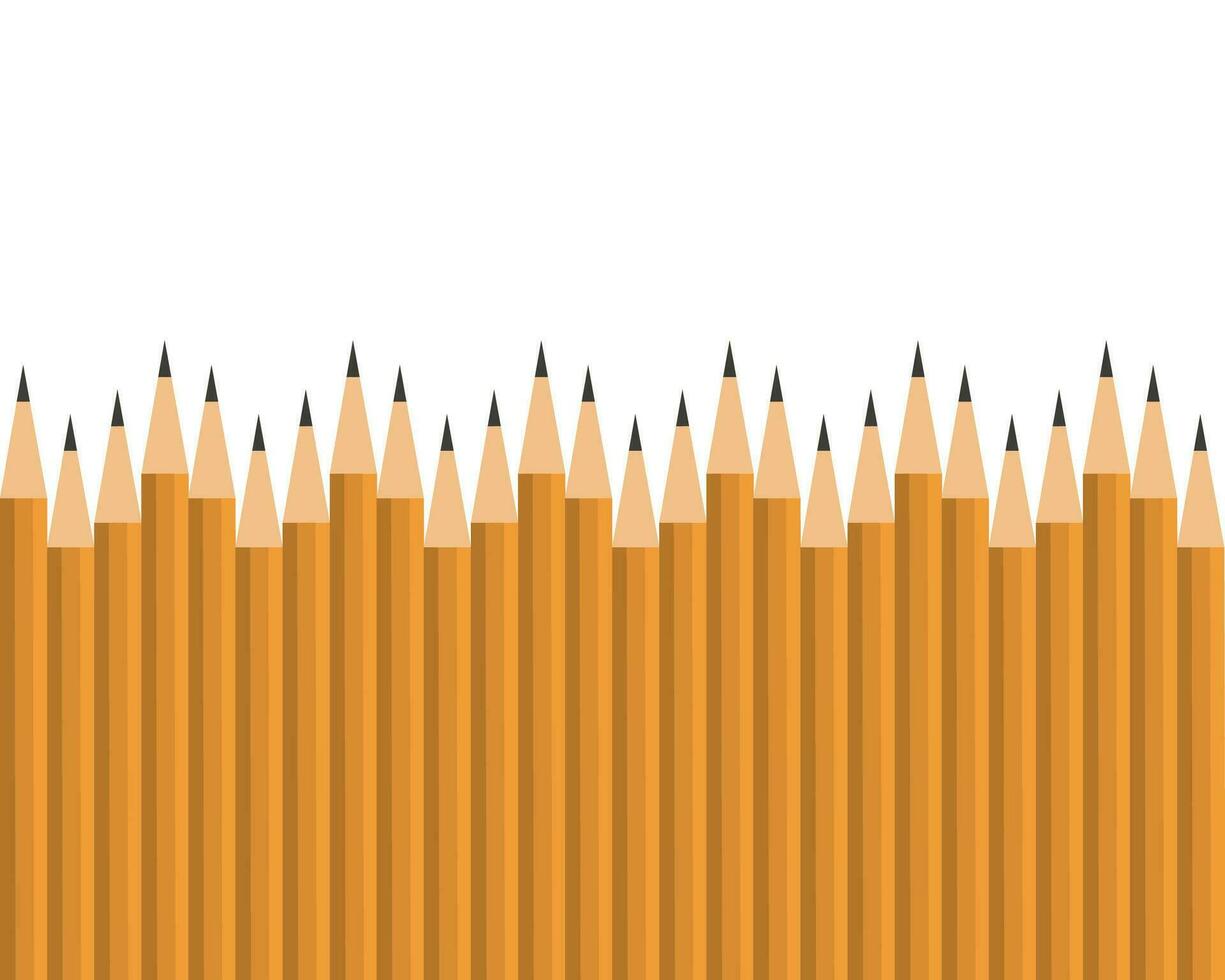 Lead pencils various length on white background. vector