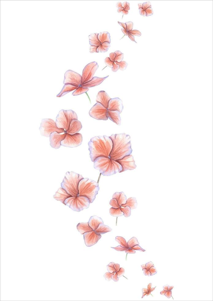 hortensia flores volador hacia arriba en un arco. rosado hortensia flor cabeza. jardín planta. espacio para texto. acuarela ilustración. espacio para texto. saludo, póster, fondo de pantalla, tarjeta postal diseño vector