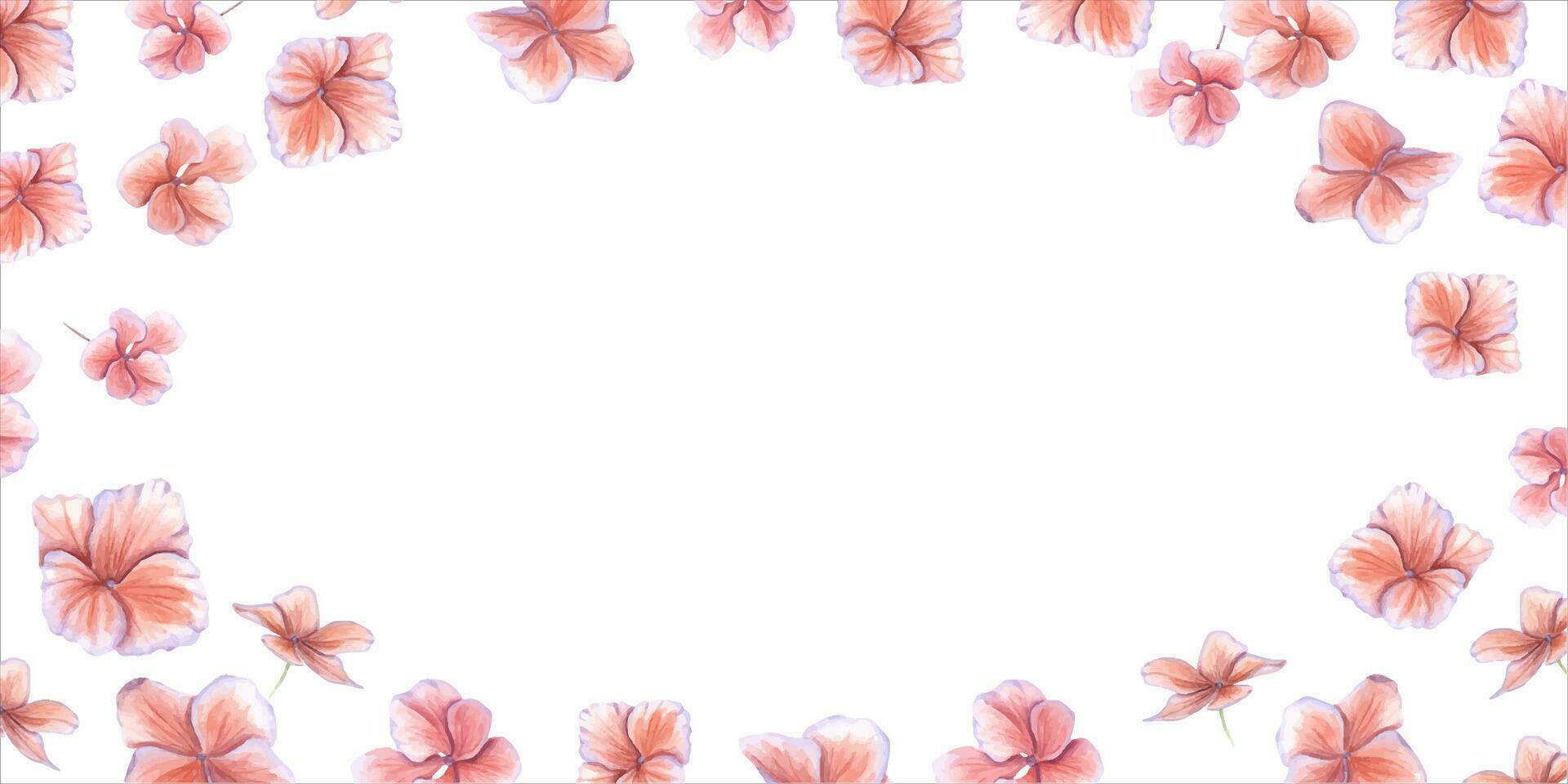 Frame with flower head of hydrangea. Pink petal, hortensia flowers, garden plants. Space for text. Watercolor illustration. Space for text. Greeting, invitation, postcard design vector
