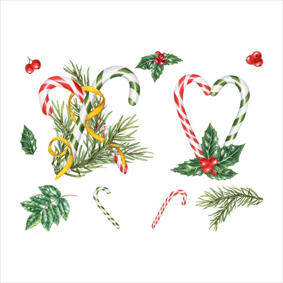 Set of candy canes, spruce branch with gold ribbon. Caramel decorated with holly and berries. Christmas stick, Xmas sugar lollipop. Evergreen plant. Watercolor illustration for winter decoration. vector