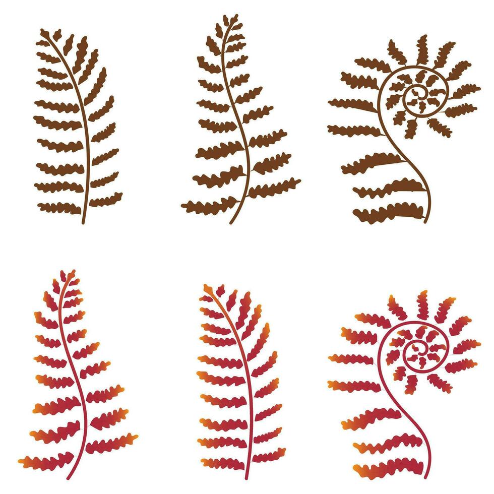Set of fern leaves. Vector illustration isolated on white background.