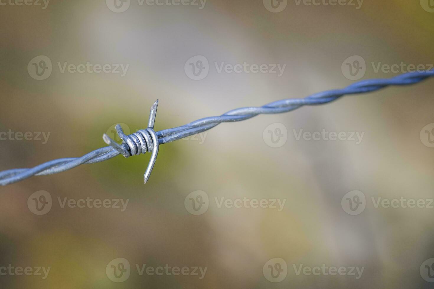 barb wire at the field border photo