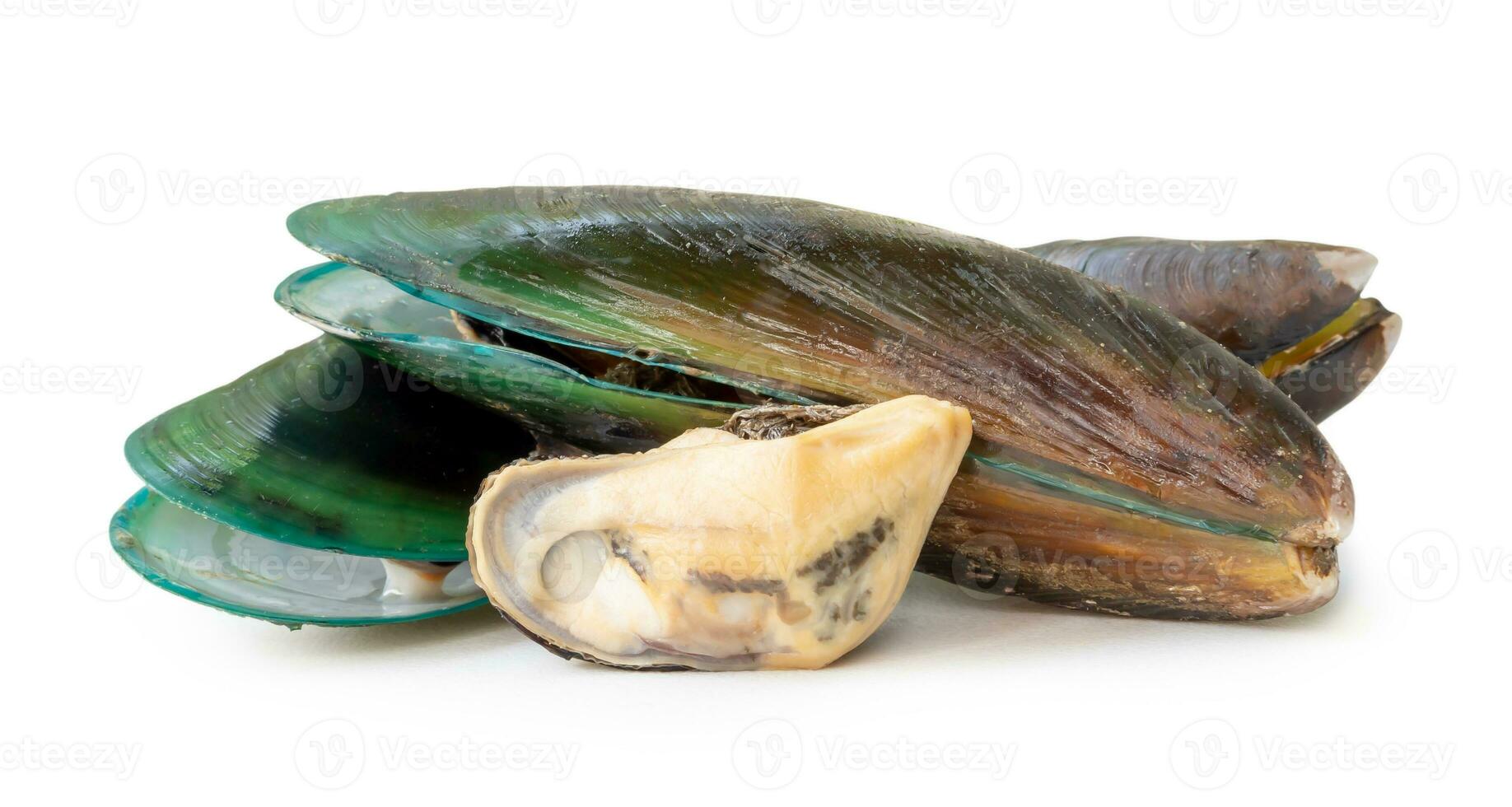 al vapor o cocido comida de Fresco hermosa verde mejillones en apilar aislado en blanco antecedentes con recorte camino foto