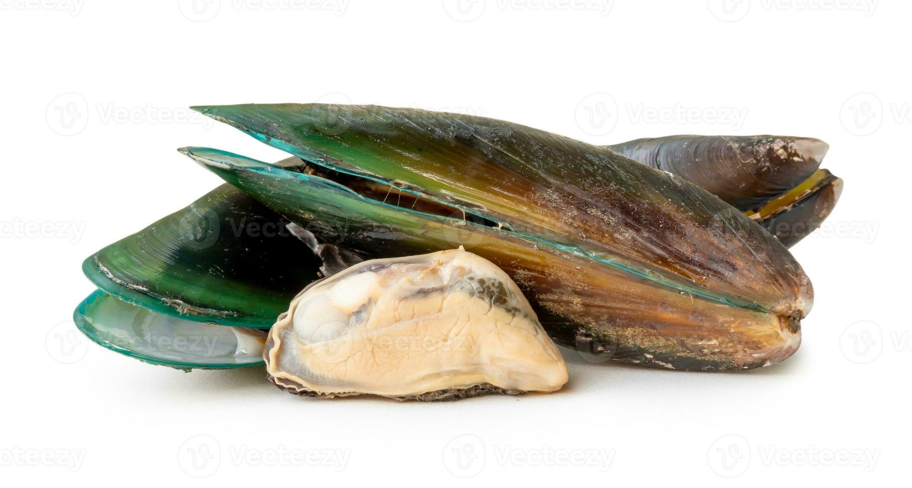 Steamed or cooked food of fresh beautiful green mussels in stack isolated on white background with clipping path Sea food photo