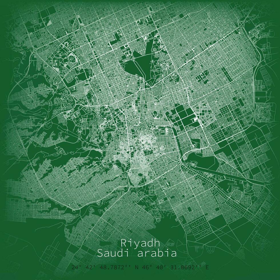 Riyadh city Urban Streets Roads Map vector