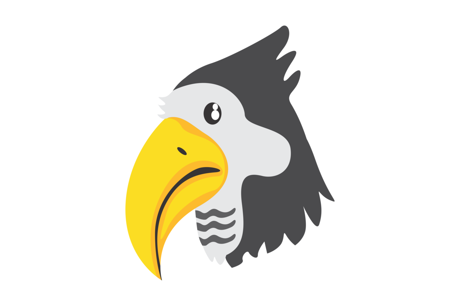 Animal - Toucan Bird png