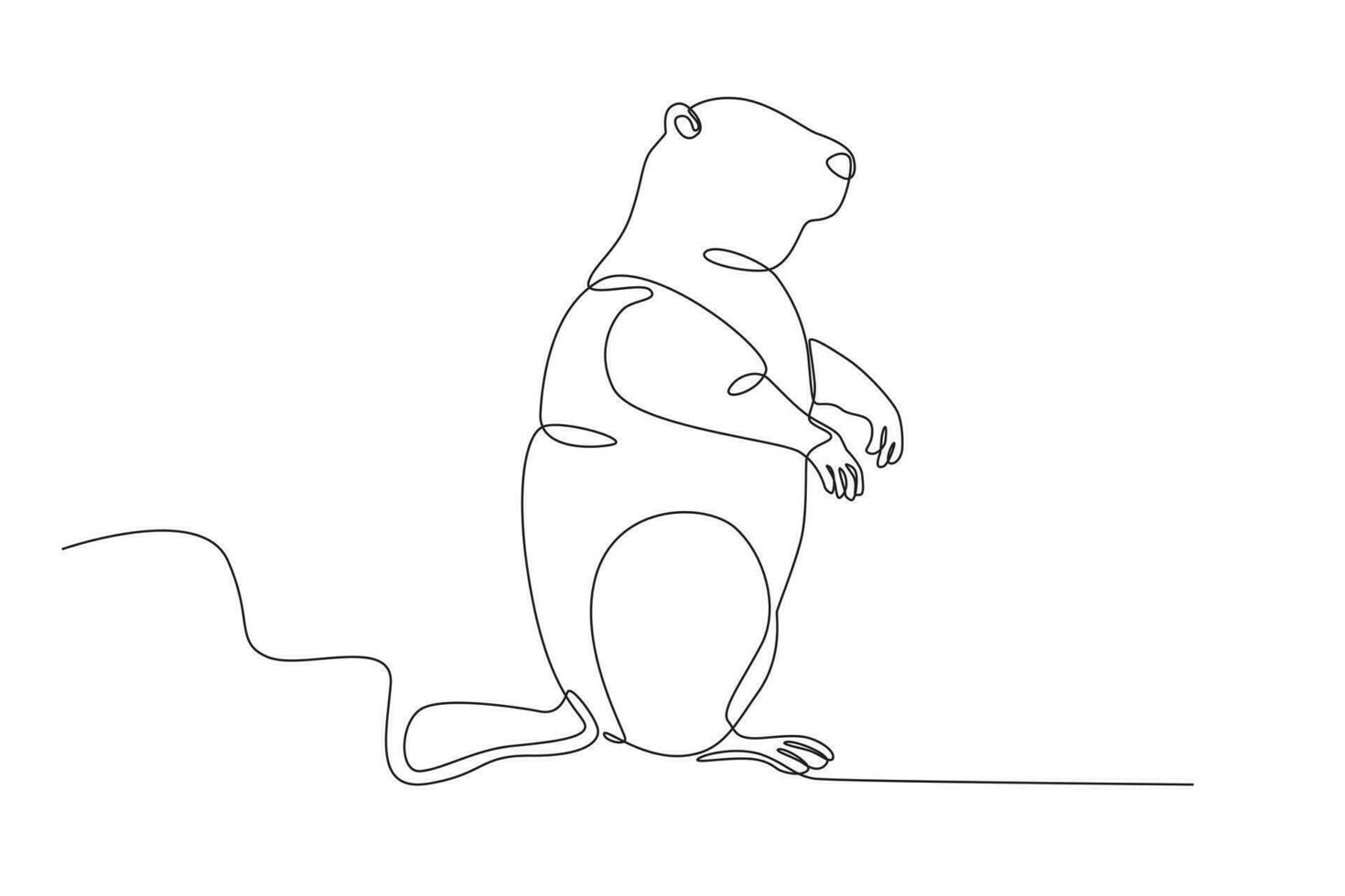 A groundhog comes out of its hibernation vector