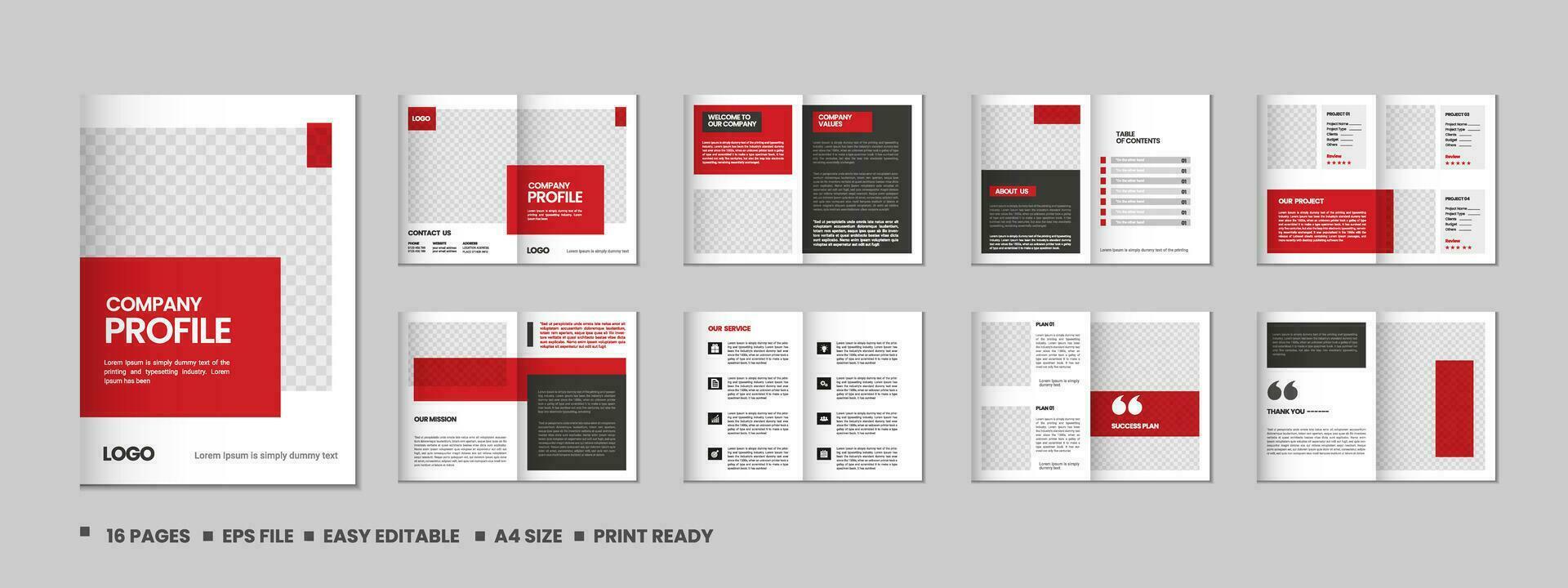 Company profile, multipage flyer brochure, portfolio magazine, annual report, catalog and a4 multipage template design vector