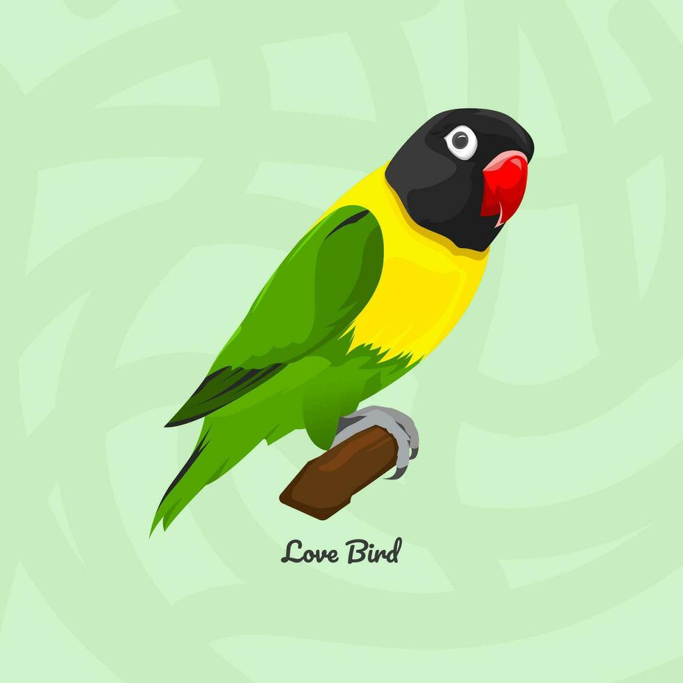 Illustration of Black Masked Lovebird vector