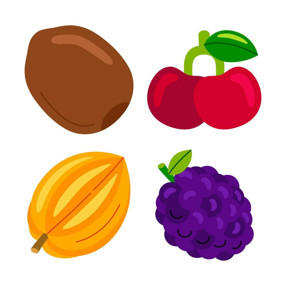 fruit objects vector illustrations set