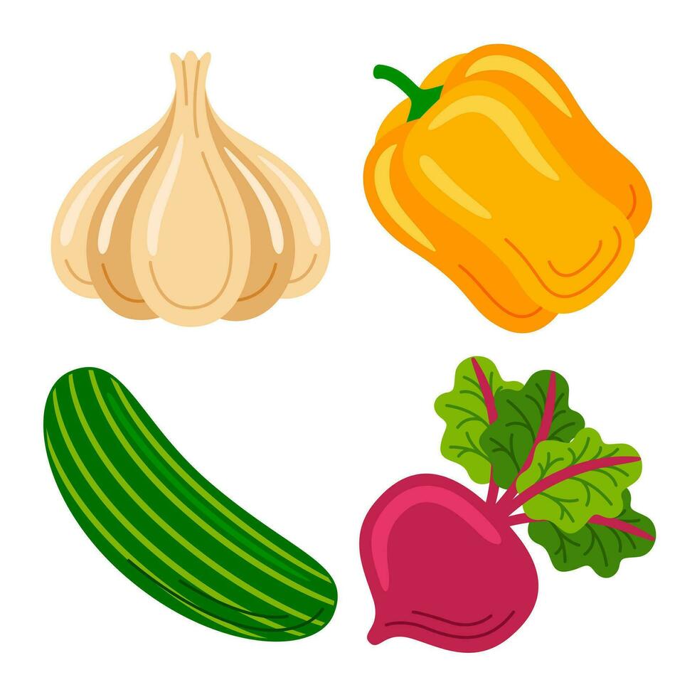 vegetable objects vector illustrations set