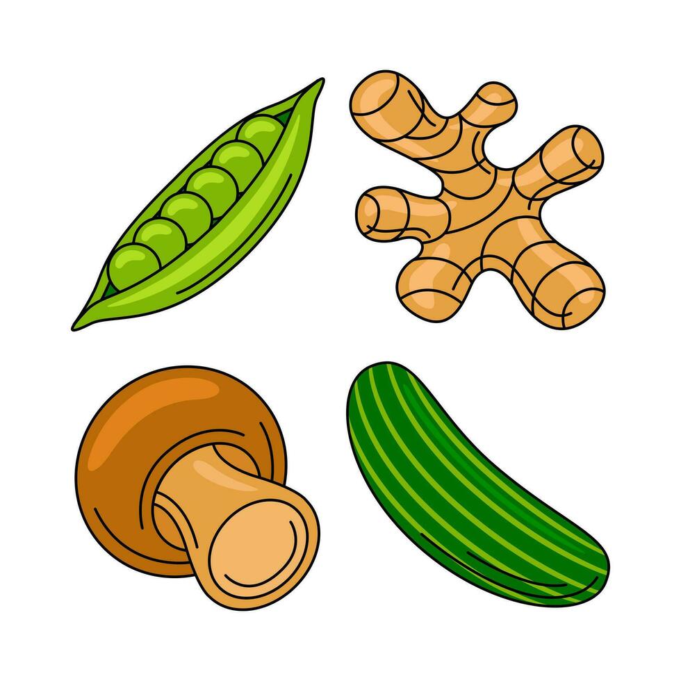 vegetable objects vector illustrations set