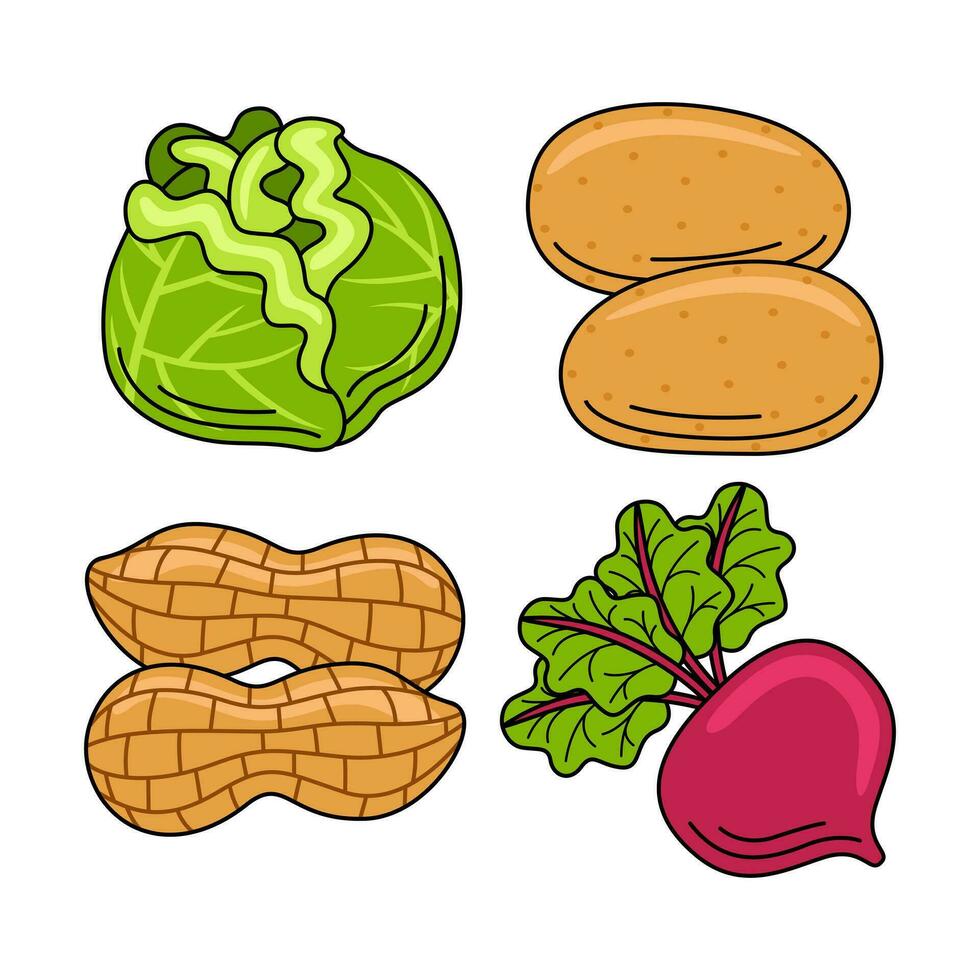 vegetable objects vector illustrations set