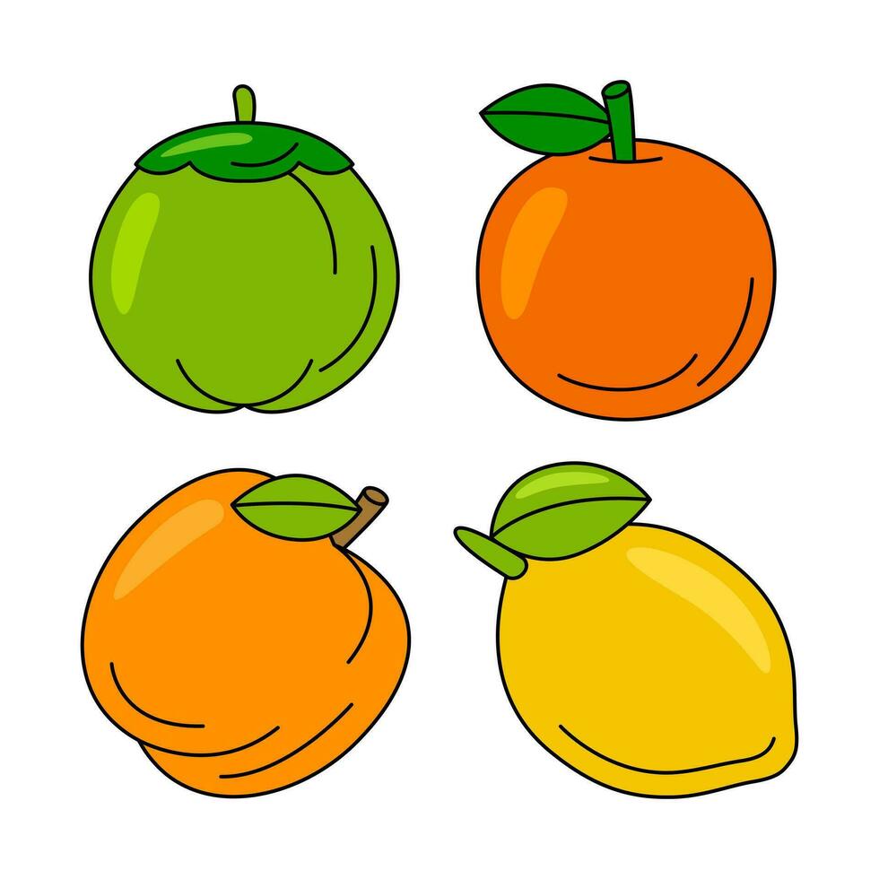 Fruta objetos vector ilustraciones conjunto