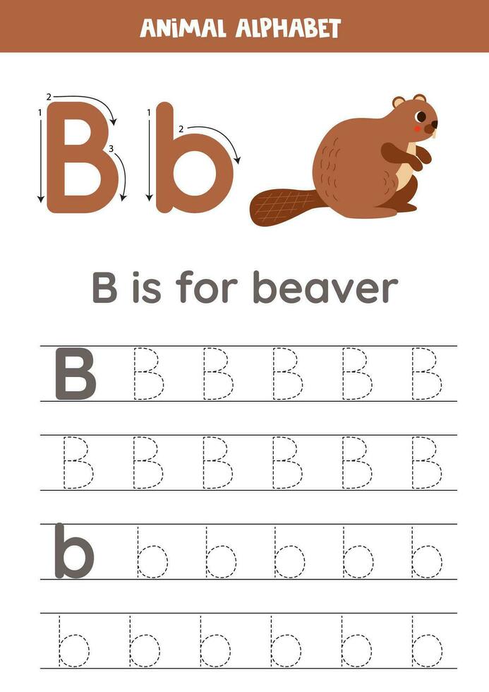 Tracing alphabet letters for kids. Animal alphabet. B is for beaver. vector