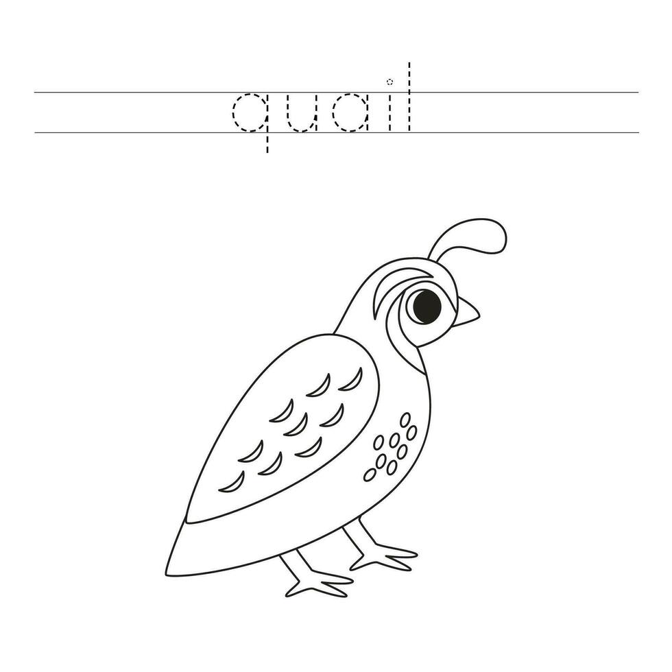 Trace the letters and color cartoon quail. Handwriting practice for kids. vector
