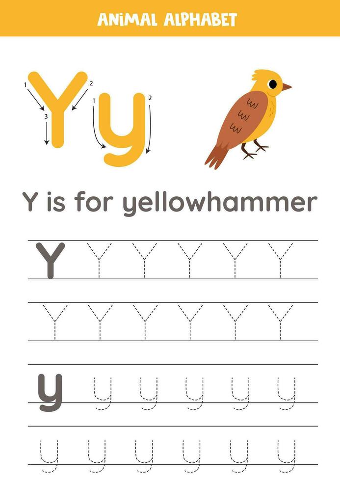 Tracing alphabet letters for kids. Animal alphabet. Y is for yellowhammer. vector