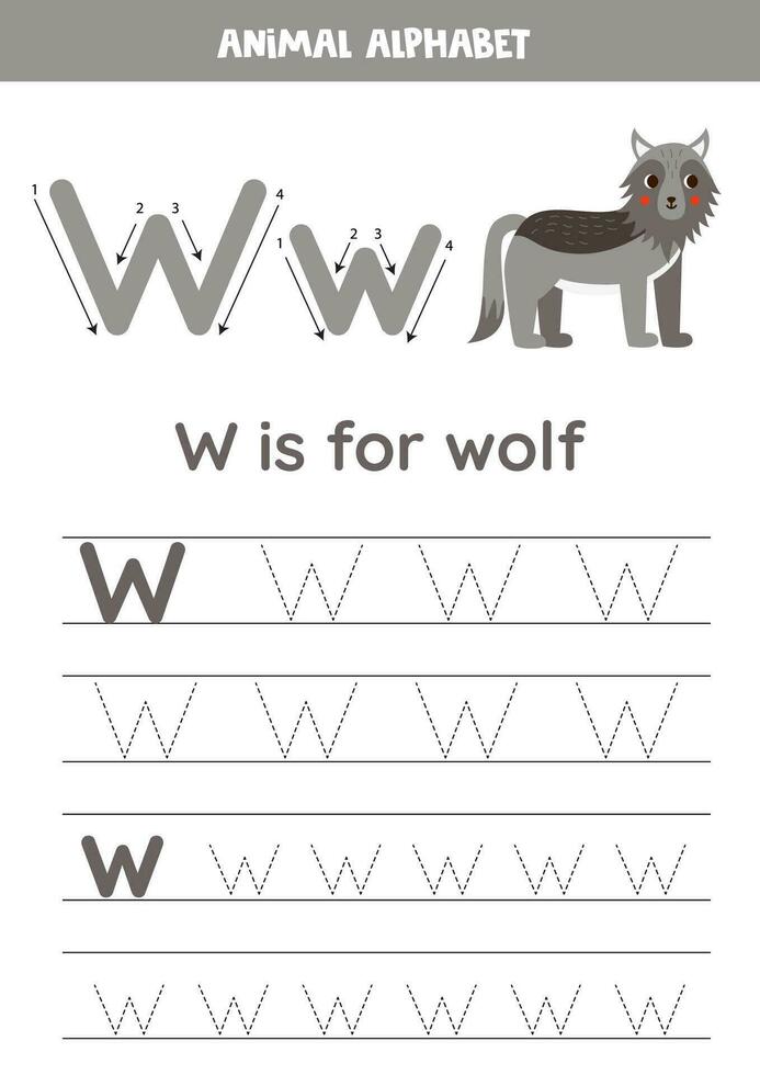 Tracing alphabet letters for kids. Animal alphabet. w is for wolf. vector