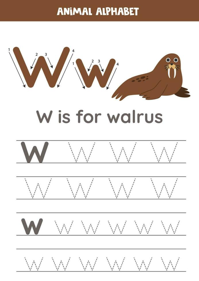 Tracing alphabet letters for kids. Animal alphabet. W is for walrus. vector