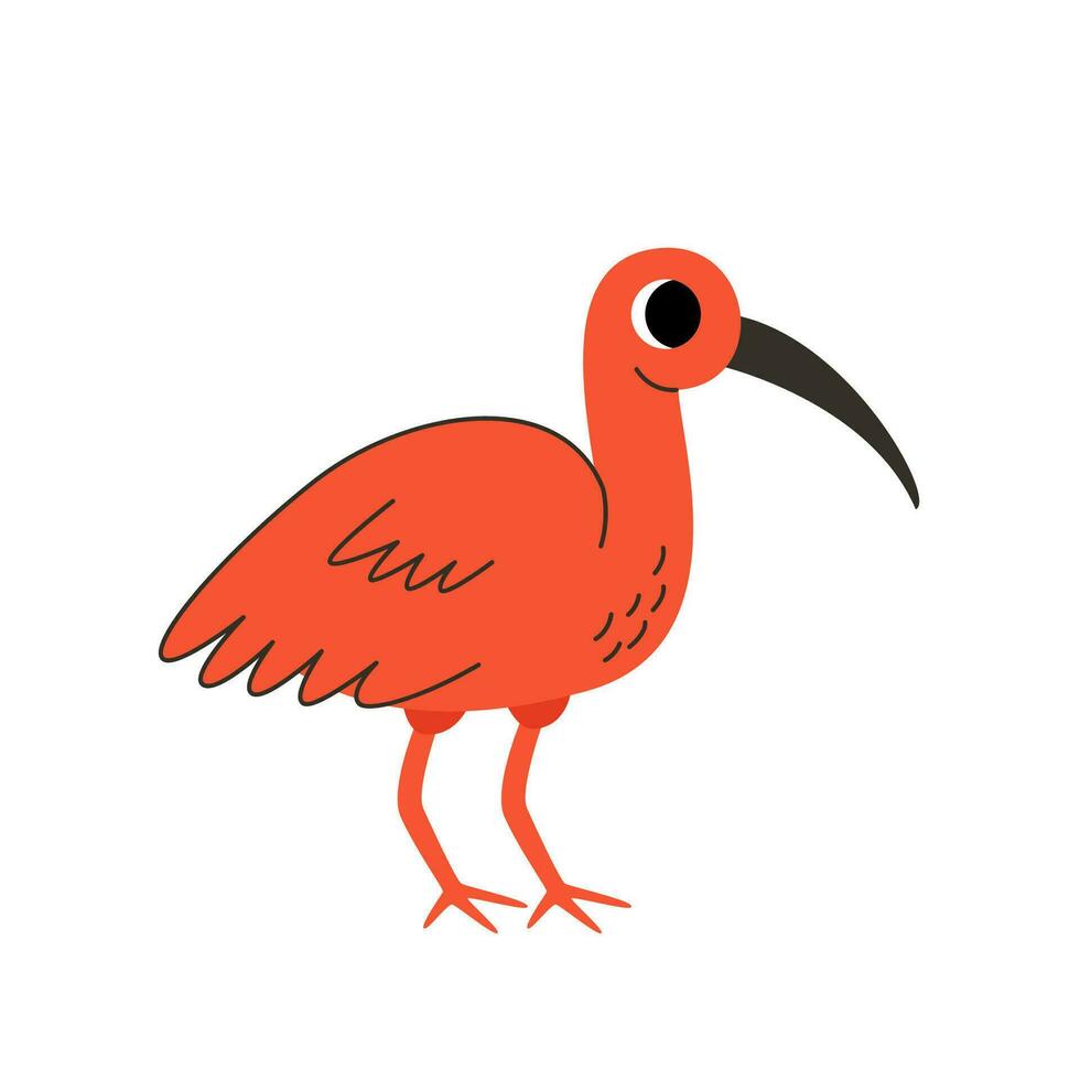 Vector illustration of cute scarlet ibis isolated on white background.