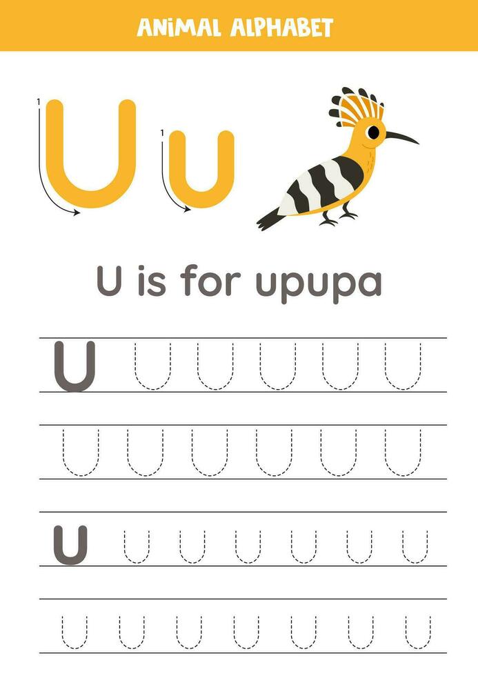 Tracing alphabet letters for kids. Animal alphabet. U is for upupa. vector