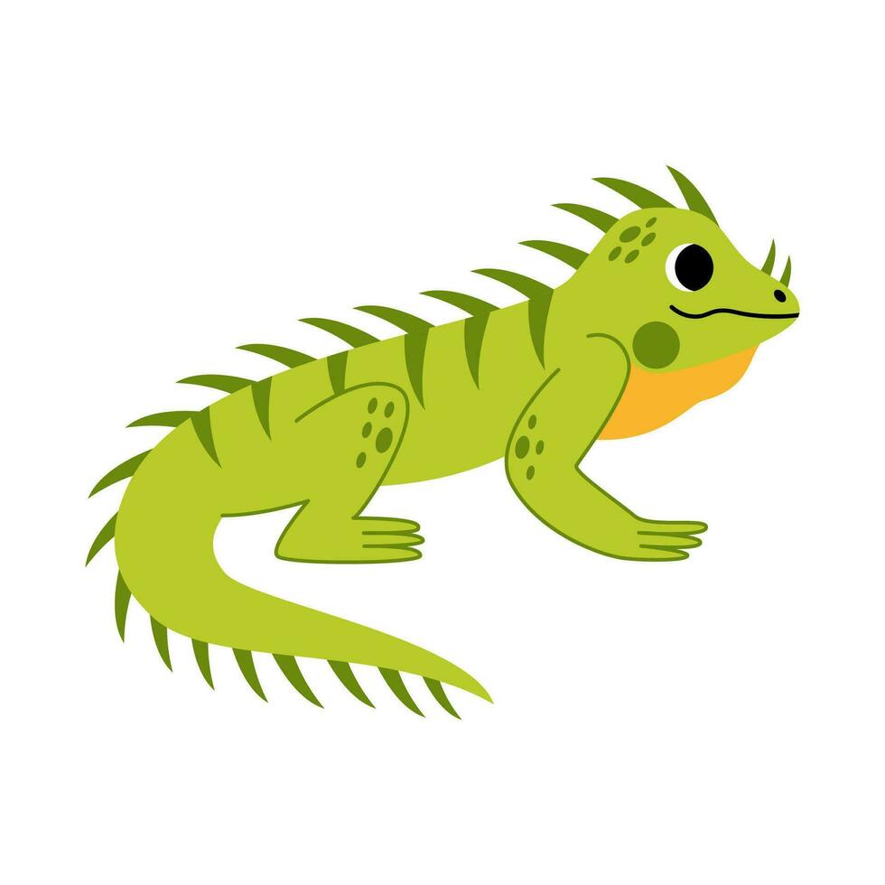 Vector illustration of cute iguana isolated on white background.