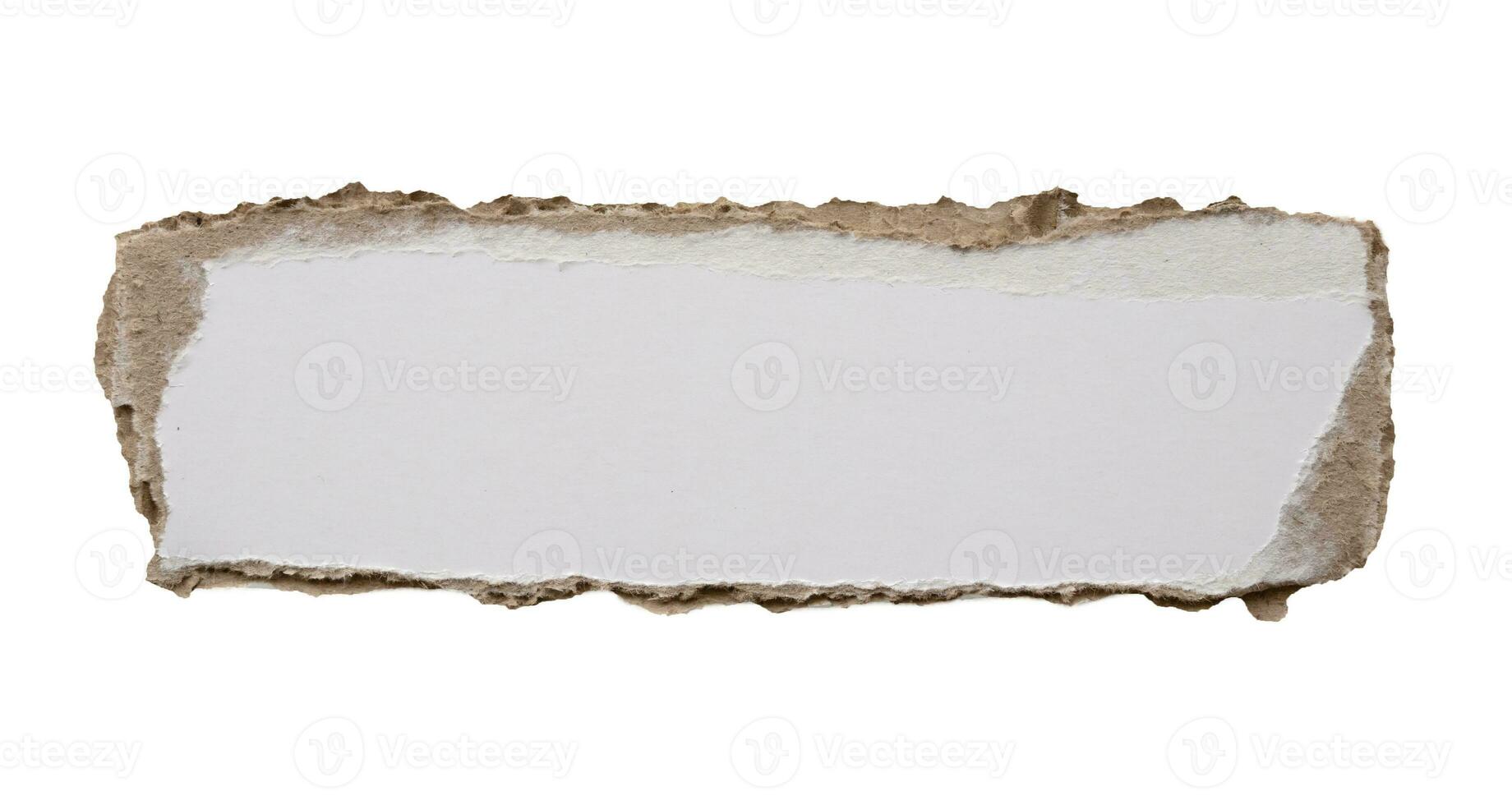 piece of white paper tear isolated on white background photo