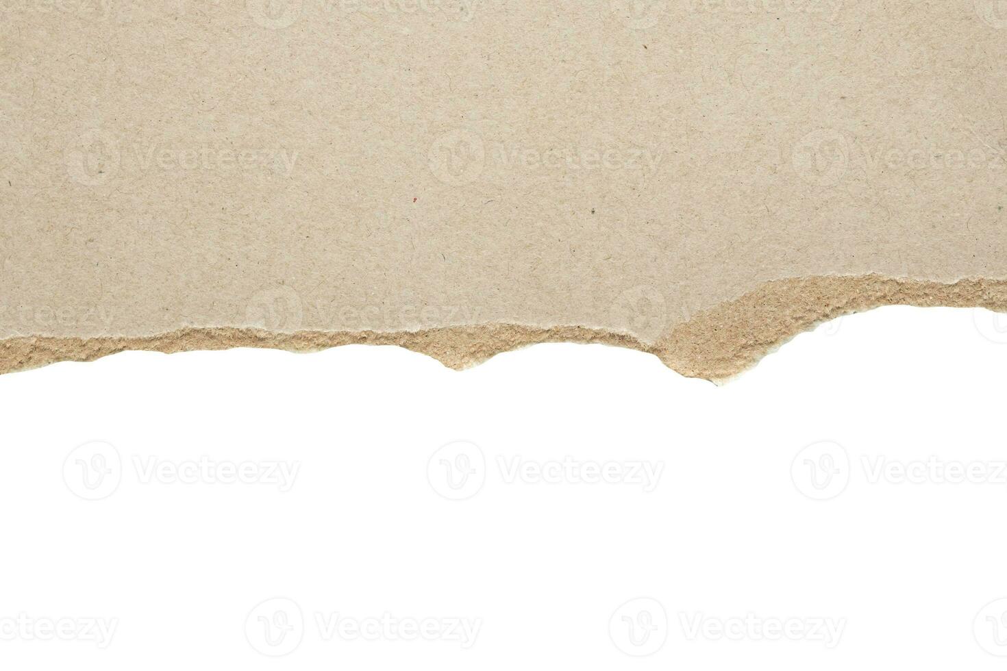 Gray ripped paper torn edges strips isolated on white background photo