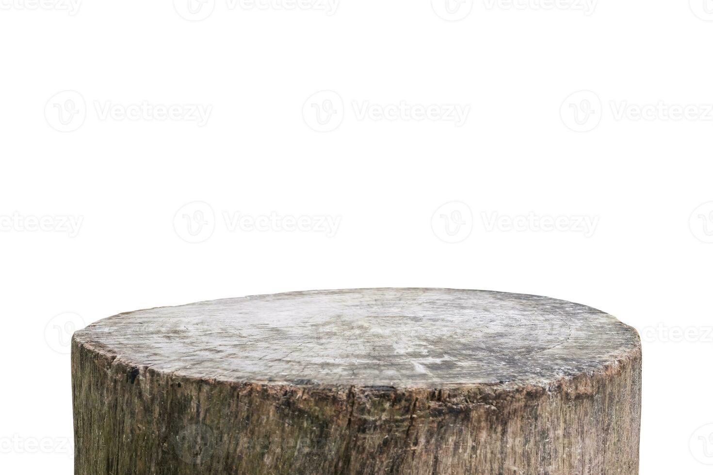 tree stump isolated on white background photo