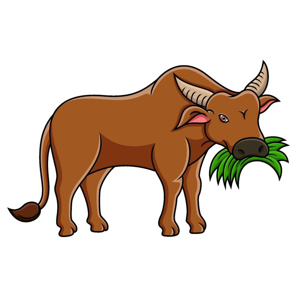 Cartoon buffalo isolated on white background vector