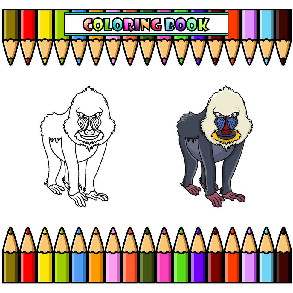 Cartoon mandrill baboon for coloring book vector