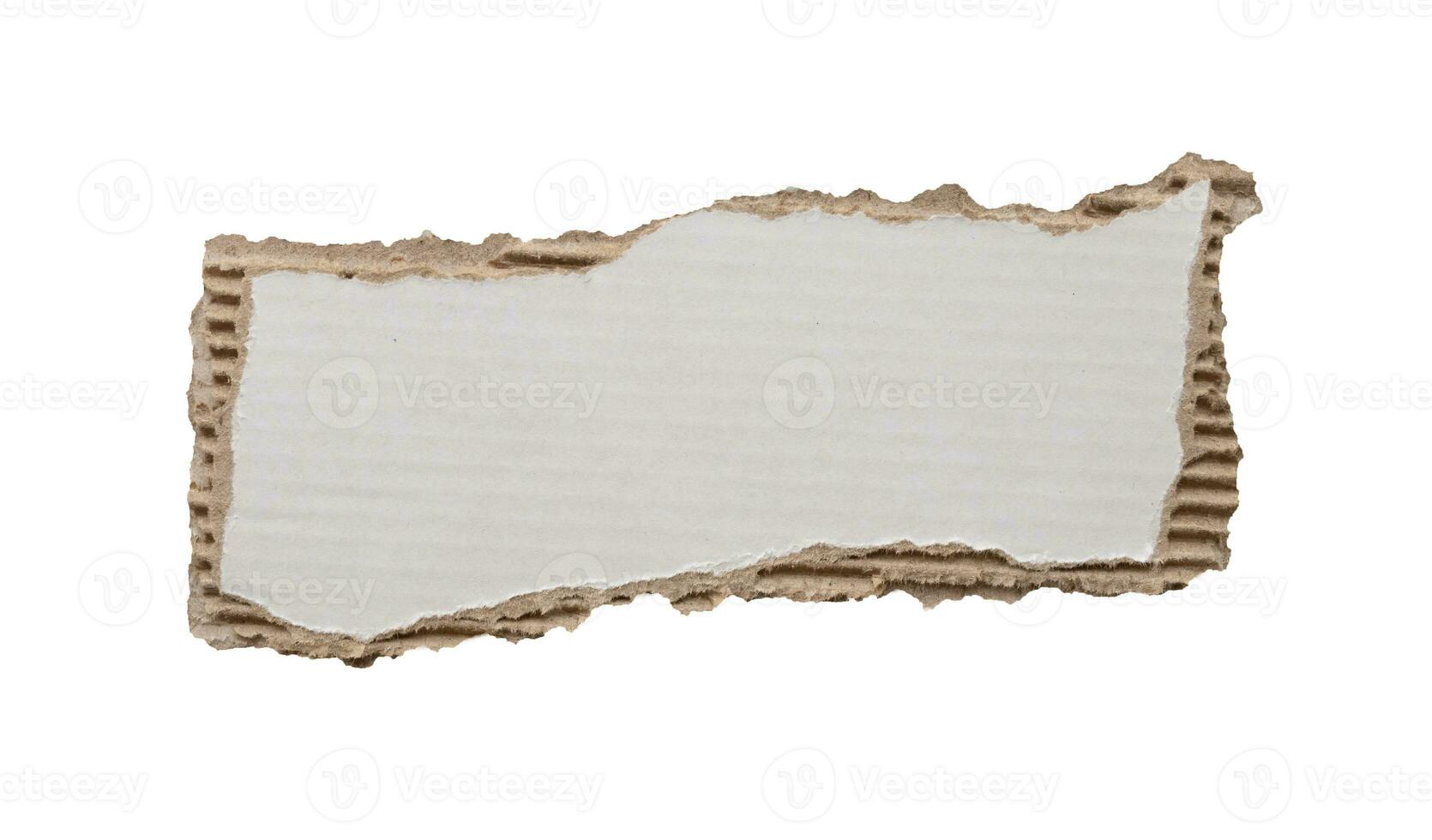 piece of white paper tear isolated on white background photo