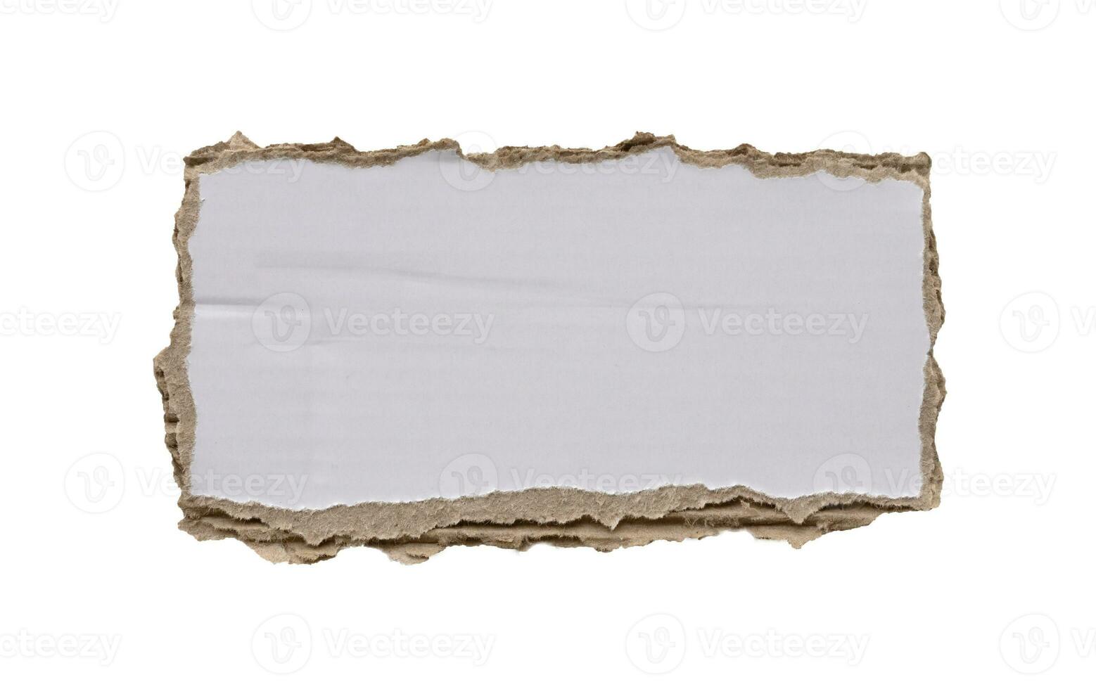 piece of white paper tear isolated on white background photo