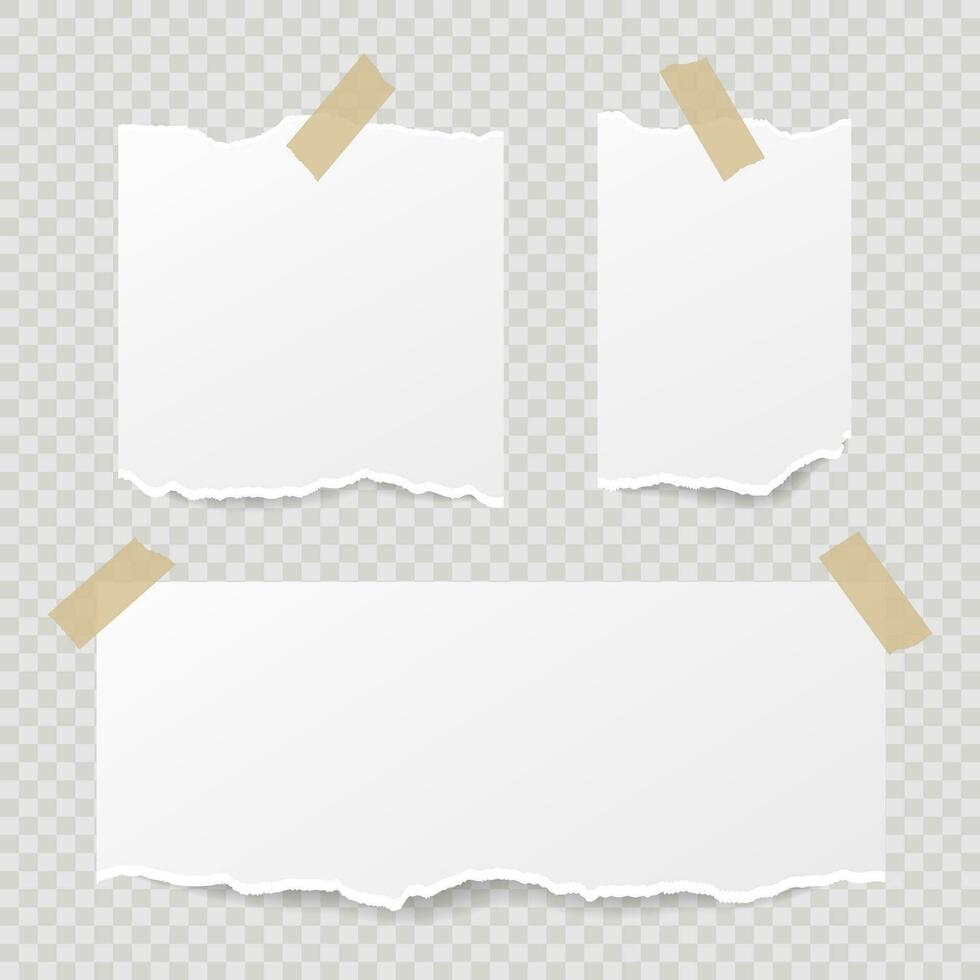 set of torn ripped paper sheets with sticker. - Vector. vector