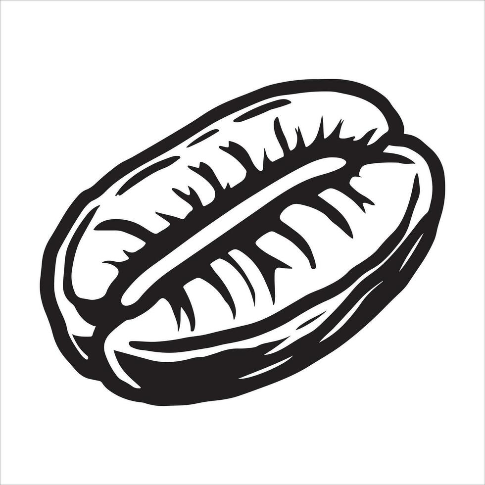 hand drawn illustration of coffee bean vector