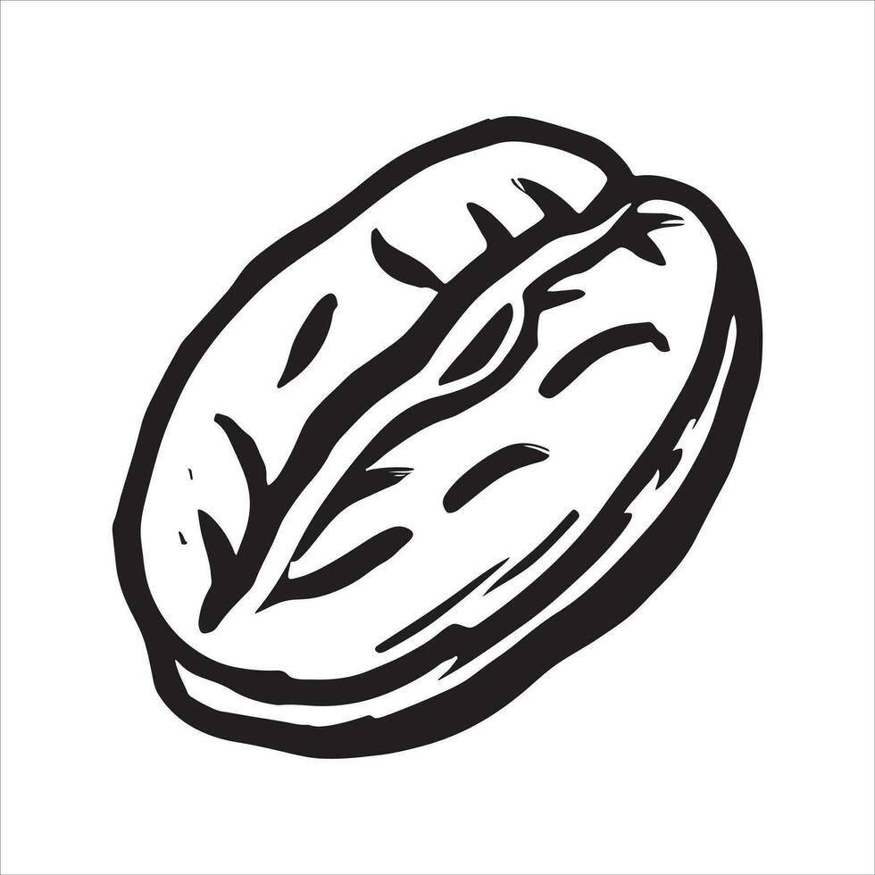 hand drawn illustration of coffee bean vector