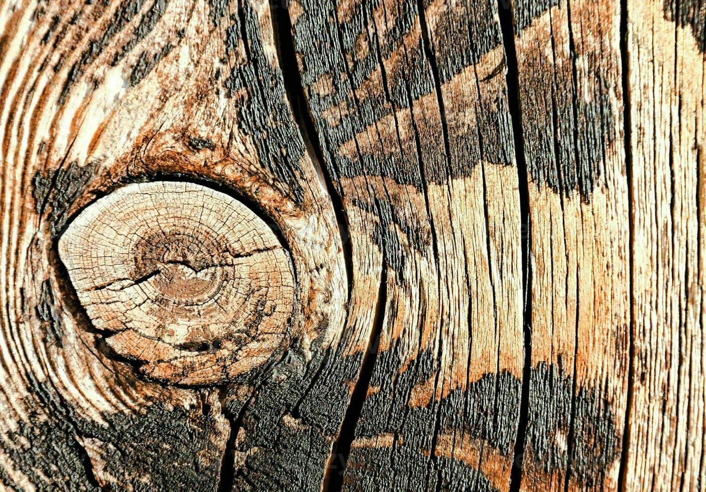 close up of a wood panel with a hole in it photo