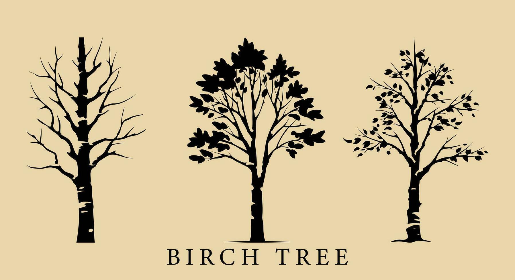 Silent Birch Symphony  Nature's Vector Ballet