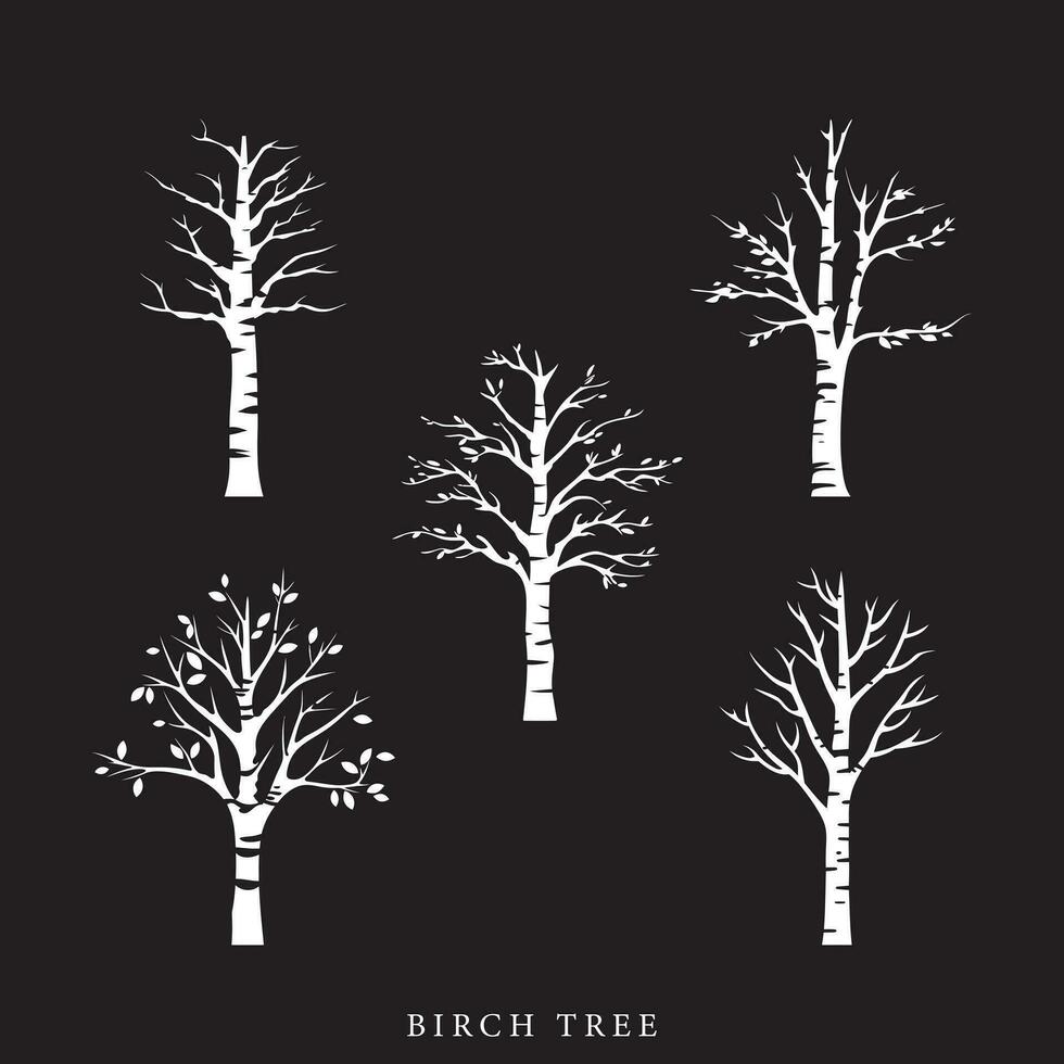 Birch Ballet  Vector Dance of the Trees