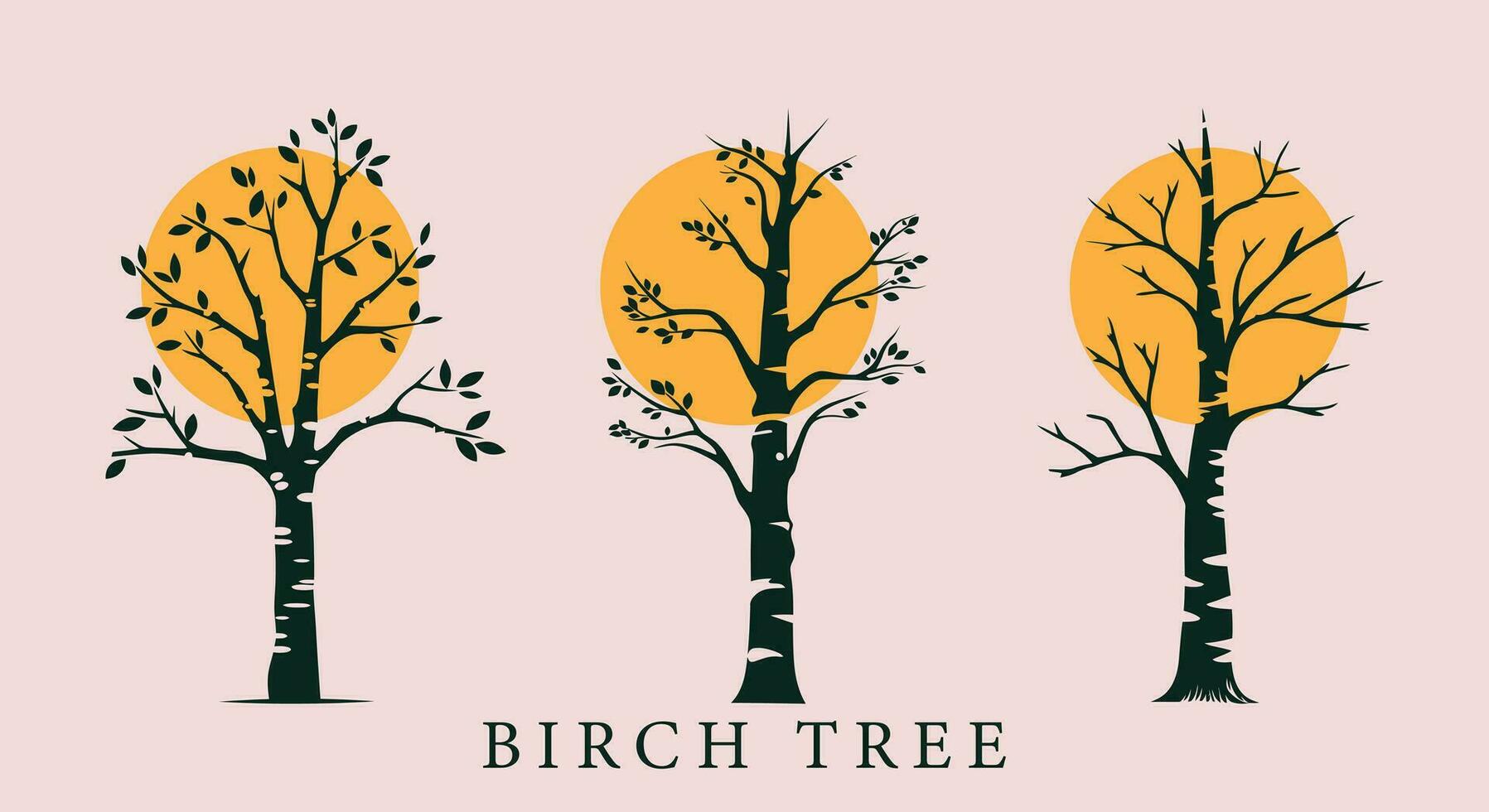 Birch Whispers  Vector Harmony in Nature