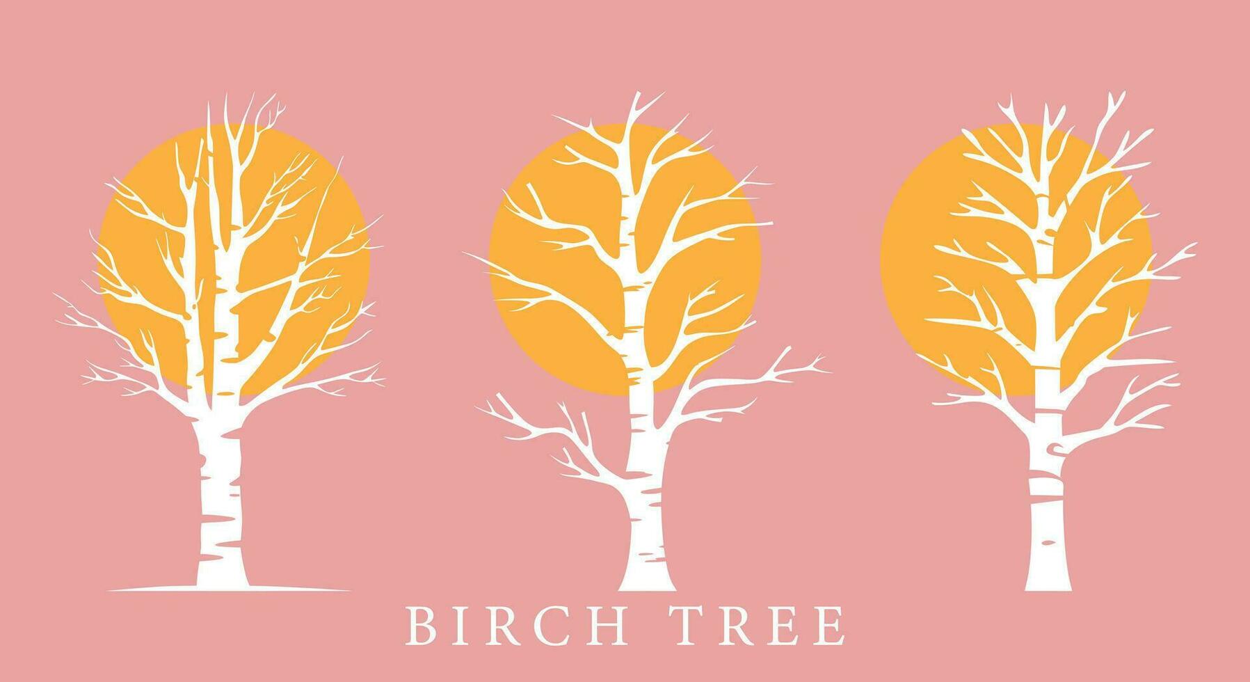 Sylvan Symphony  Birch Tree Silhouette vector