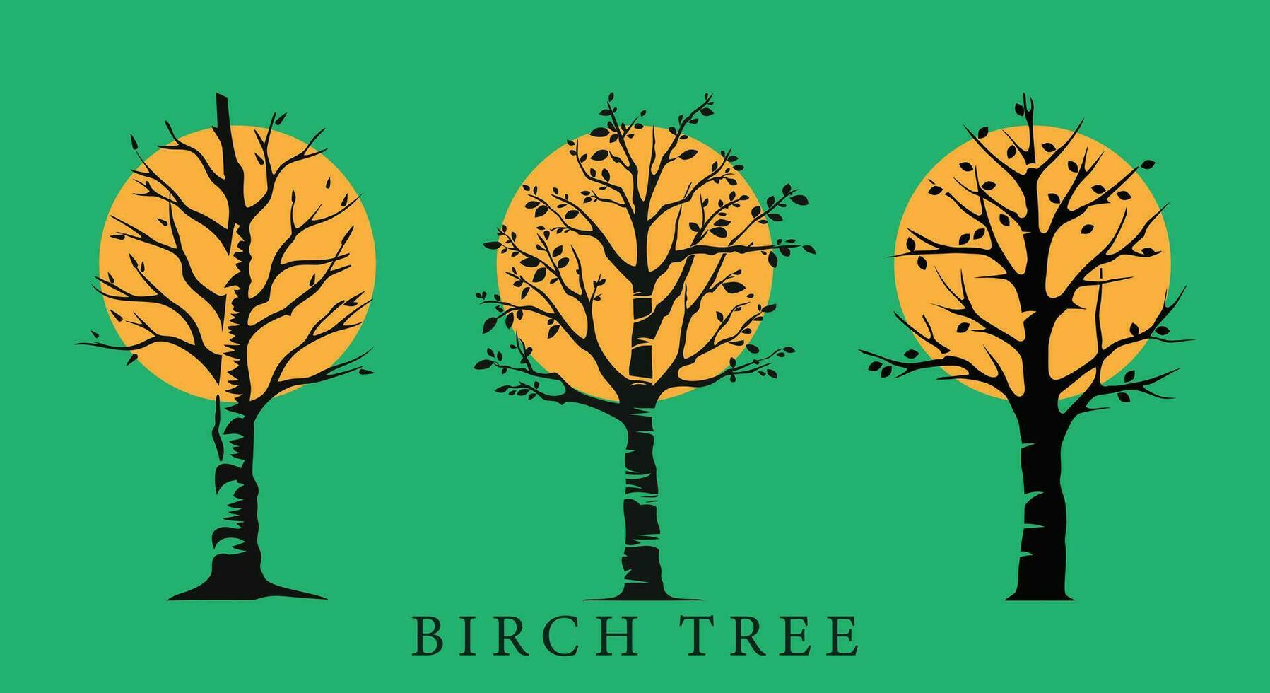 Majestic Birch Forest  Vector Serenity