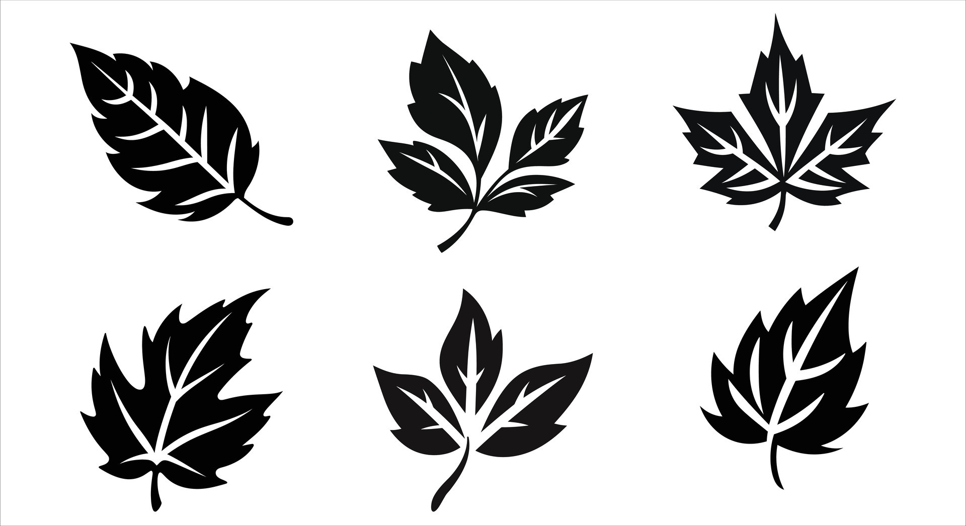 Soothing Fall Canopy Design 34372046 Vector Art at Vecteezy