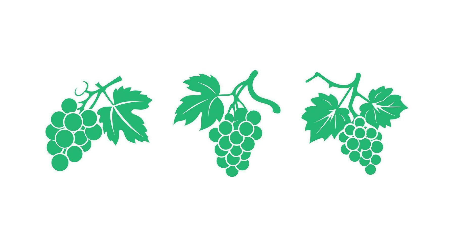 Wine Lovers' Delight Stylish Grape Art vector