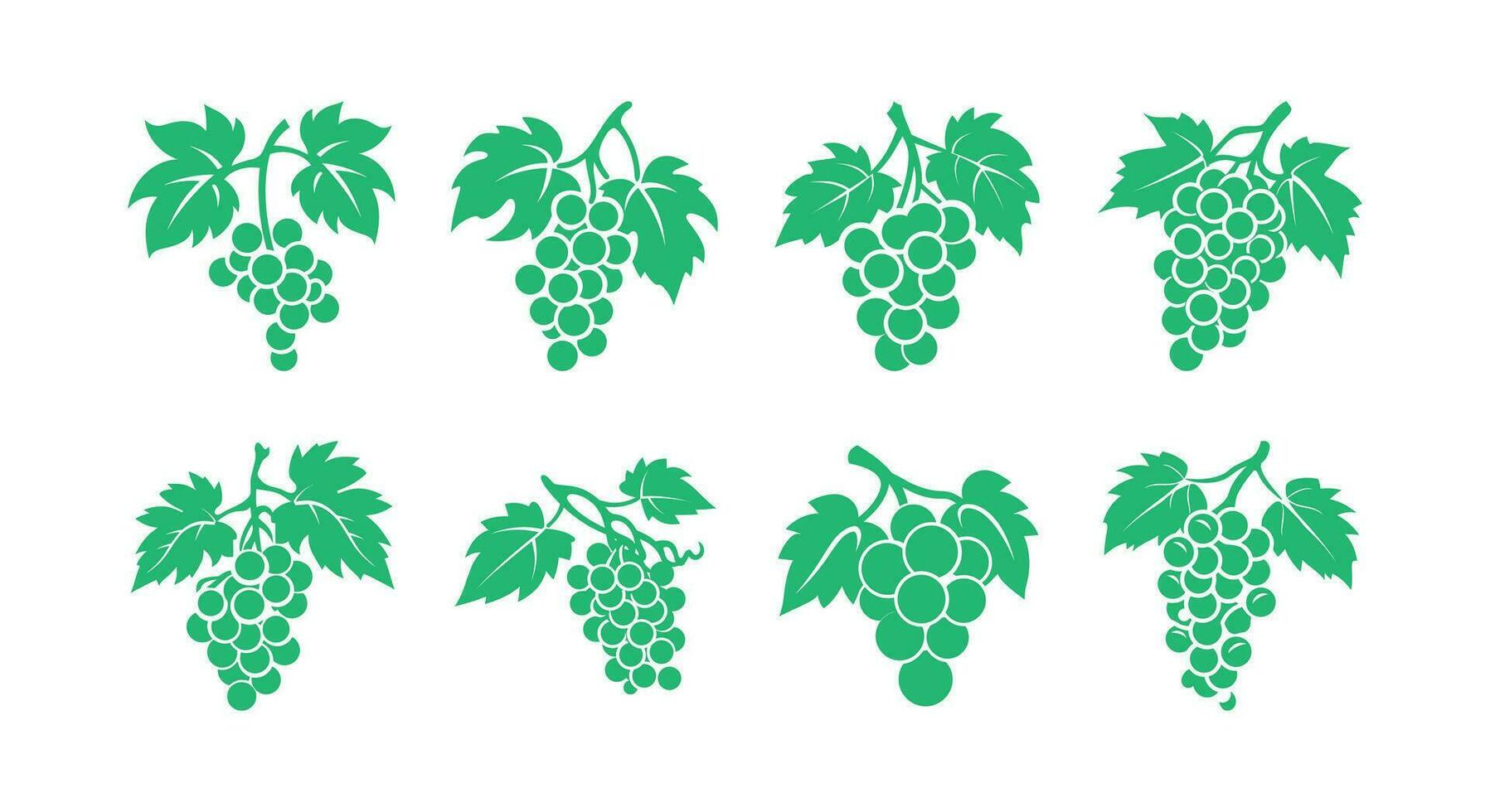 Vineyard Essence Elegant Grape Vector