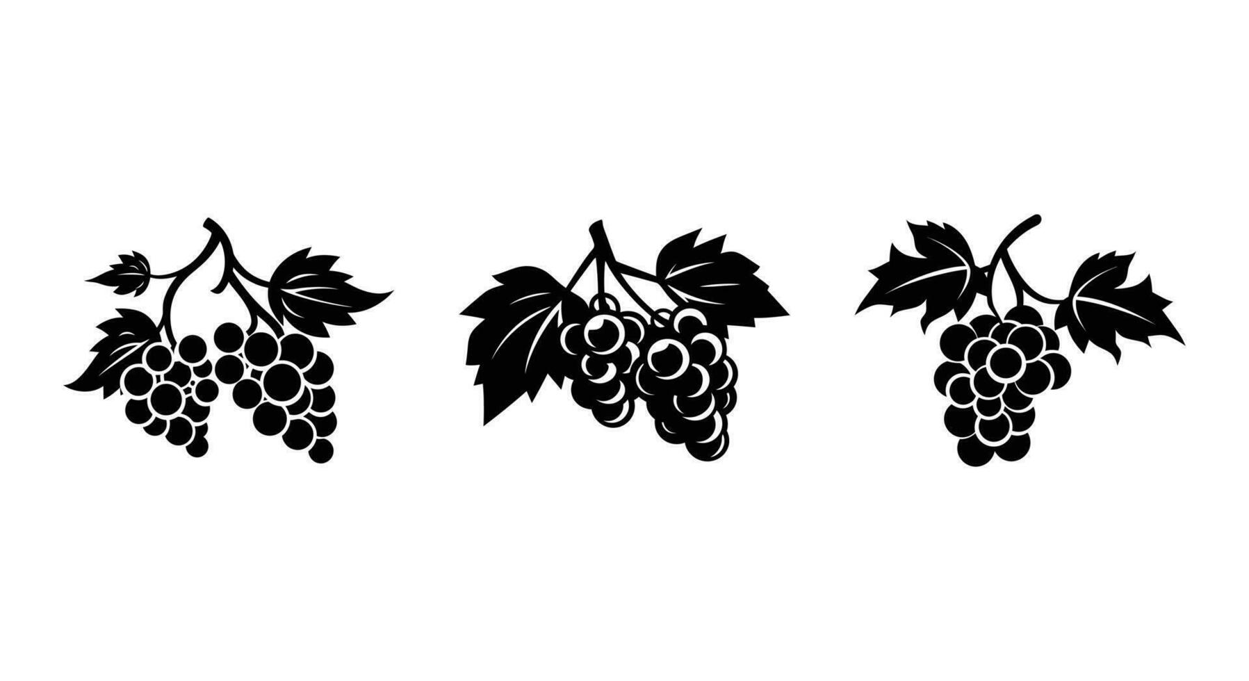Harvest Symphony Grape Illustration vector